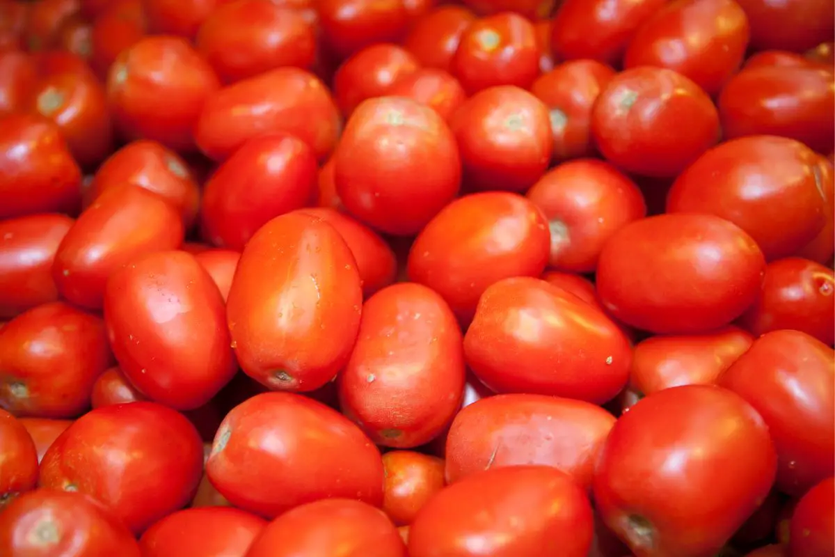 A Quick Guide To Roma Tomatoes